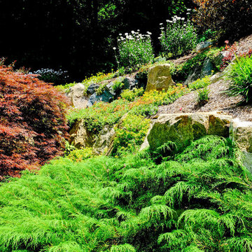 Hillside Beautification