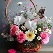 Samara's photo