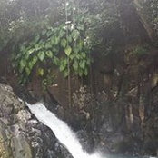 Olivia Giot's photo