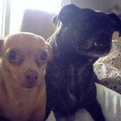 Dori Gragg's photo