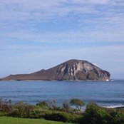 Foto von Cynthia Stone