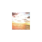 Paige Deverse's photo