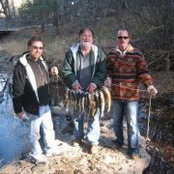 Bonito Hollow Rv Park's photo