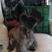 Carol Pierce's photo