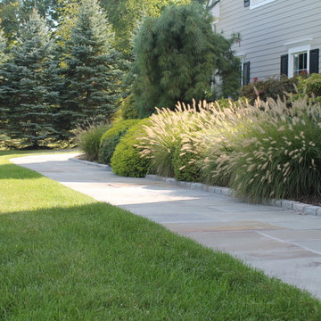 Dorchester Dr