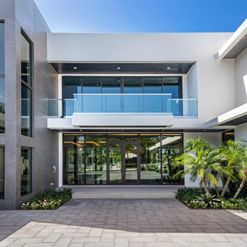 Alexander Palm 2 - Boca Raton