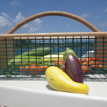 Organic Vegetable Garden
