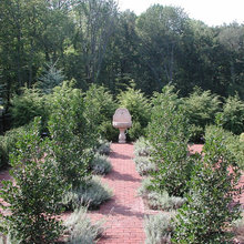 Backyard Ideas