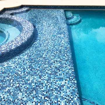 Mediterranean Transitional