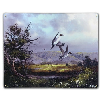 Surprised Pintails, Classic Metal Sign