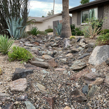 West Phoenix Front & Side Yard Xeriscape