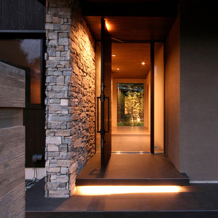 Eingang mit brauner Wandfarbe und schwarzem Boden Ideen, Design