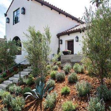 Comstock Hills - Total Renovation, Spanish Transitional