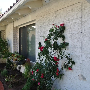Singing Hills drought tolerant landscape
