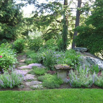 Sunny path with a thyme groundcover