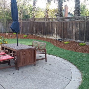 Drought Tolerant