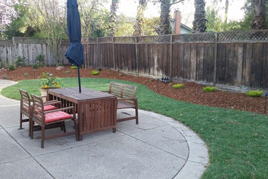 Design ideas for a large traditional backyard partial sun xeriscape in San Francisco.