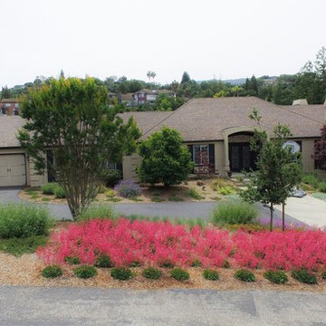"Fields of Goldin" in Los Gatos
