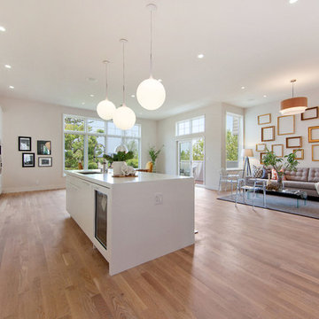 New Cow Hollow Family House