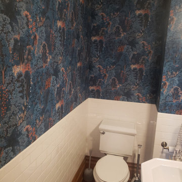 CHicago Lakeview. Old wallpaper removal and new wallpaper installation
