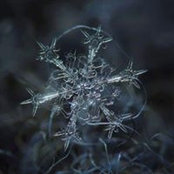 Cindy Potter's photo