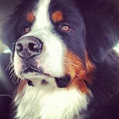 James Matthews's photo