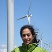 Negar Shayans foto