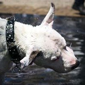 Carlene Castleman's photo