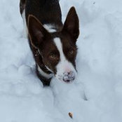 Tina Smith's photo