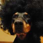 Jennifer Brohimer's photo