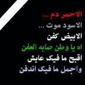 Ahmed Hamza's photo