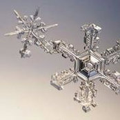 Tara Rochon's photo