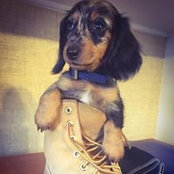 Buddy Macken's photo