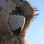 Ian Mullane's photo