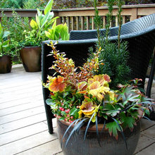 Containers/flower Pots