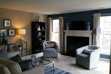 Living/Family Room Remodels
