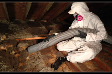 Attic Cleaning in West Covina, CA