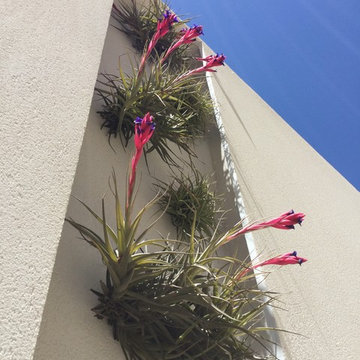 Giardino EL