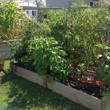 Vegetable & Herb Gardens