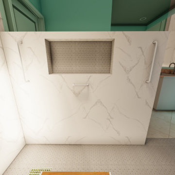 Handicap Bathroom Reno