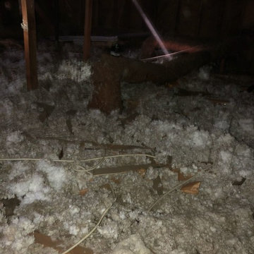 CRAWL SPACE CLEANING