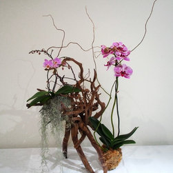 Living Sculptures - Products