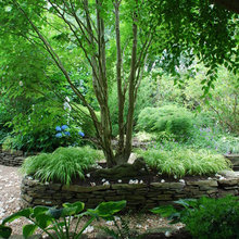 Garden Rock