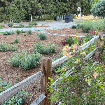 Encinitas Pollinator Garden