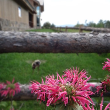 Frederick Landscaping scenes
