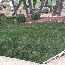 Garden Maintence