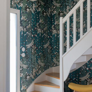 "Lumière et libellule"