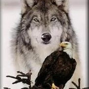 Patti Skohl's photo