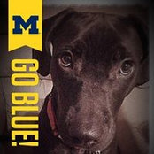 Colette Krieg's photo