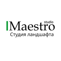 Maestro Studio. Студия ландшафта